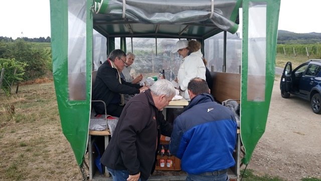 rast-02.jpg