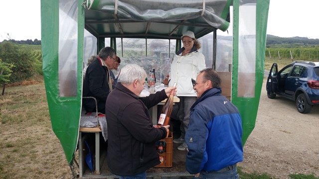 rast-03.jpg