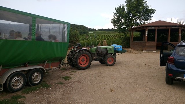rast-05.jpg