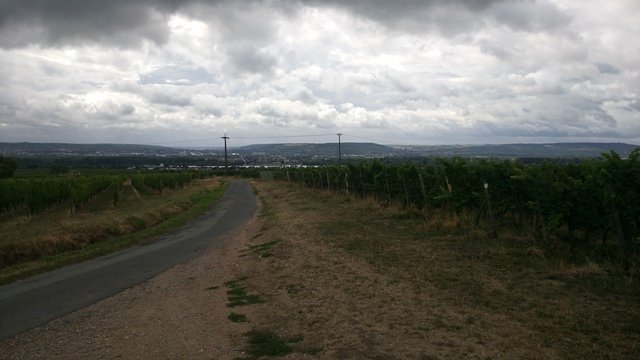 rast-06.jpg