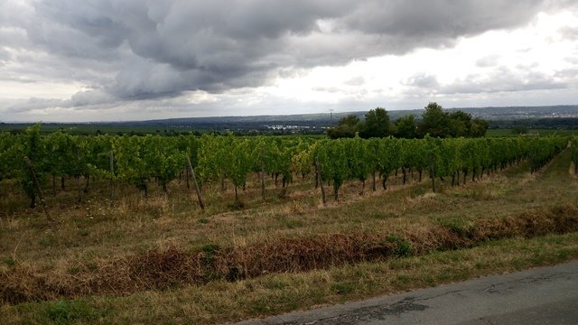 rast-07.jpg