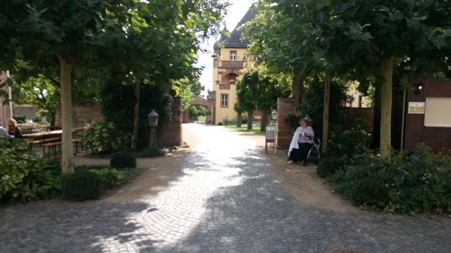 schloss-19.jpg