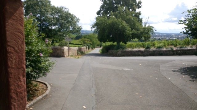 schloss-21.jpg